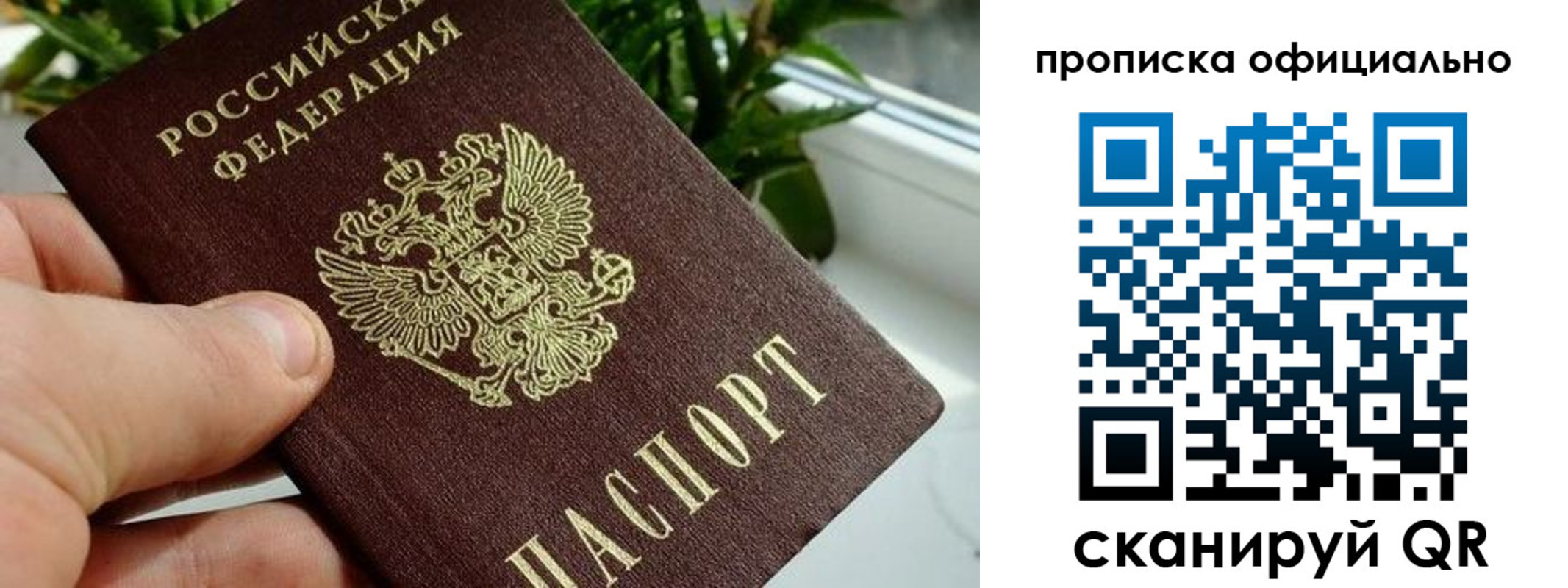 прописка поиск в Анжеро-Судженске